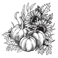 autunno composizione di zucche e girasole fiori per ringraziamento, linea arte nel schizzo stile, incisione. vettore nero e bianca illustrazione