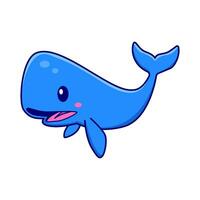 balena pesce illustrazione vettore