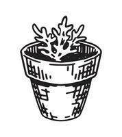 in vaso pianta schema scarabocchio. schizzo di giardinaggio attributo. vettore illustrazione nel incisione stile isolato su bianca.