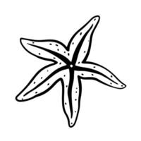 stelle marine isolate su sfondo bianco. illustrazione vettoriale disegnata a mano in stile doodle. perfetto per il tuo progetto, biglietto, logo, decorazioni.