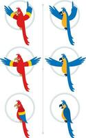 pappagallo cartone animato impostato vettore