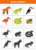 trova ombre di carino Sud americano animali. carte per bambini. vettore