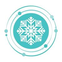 inverno decorativo fiocco di neve vettore illustrazione grafico icona simbolo