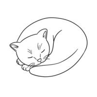 schema carino gatto dormendo. animale linea schizzo isolato su bianca vettore