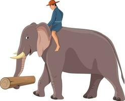 elefante trasporto uomo e legna log vettore