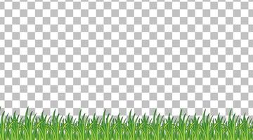 campo in erba semplice su sfondo griglia vettore