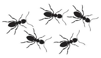 una fila di formiche operaie in marcia in cerca di cibo. banner vettoriale
