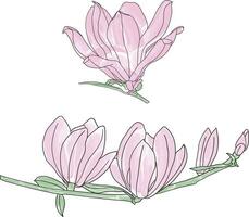 astratto linea di verbanica piattino magnolia fiore siamo fioritura. vettore