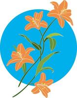 illustrazione mazzo di arancia giglio fiore su blu cerchio sfondo. vettore