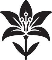 minimo giglio fiore icona vettore silhouette nero colore bianca sfondo 7