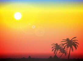 palma silhouette sfondo con mare e sera sole. vettore illustrazione.