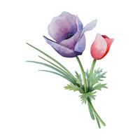 viola e rosso anemone piccolo fiore mazzo vettore