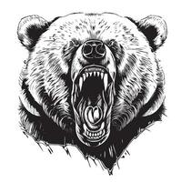 arrabbiato orso viso schizzo mano disegnato grizzly orso vettore illustrazione