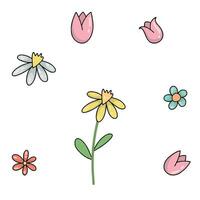 mano disegnato primavera fiori impostato vettore