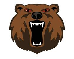 orso logo e illustrazione design vettore