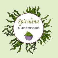 sfondo di spirulina polvere nel mano disegnato schizzo stile. vettore illustrazione multicolore. può Usato per superfood etichetta, volantino, carta.