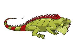 cartone animato arrabbiato iguana lucertola o rettile portafortuna vettore