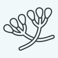 icona cumino. relazionato per erbe aromatiche e spezie simbolo. linea stile. semplice design modificabile. semplice illustrazione vettore