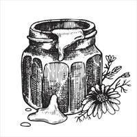 disegno vettoriale in stile vintage. Miele. vasetto con miele, favi. prodotto ecologico, cibo. incisione di disegni grafici