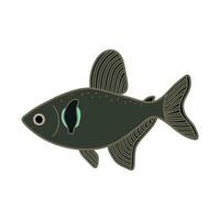 cartone animato vettore illustrazione nero fantasma tetra pesce icona isolato su bianca sfondo