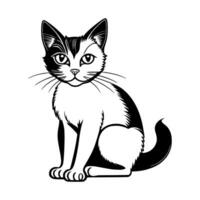 carino gatto vettore, cartone animato gatto, o gattino personaggi design collezione. vettore