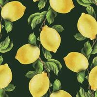 limoni siamo giallo, succoso, maturo con verde foglie, fiore mini cuffie su il rami, totale e fette. acquerello, mano disegnato botanico illustrazione. senza soluzione di continuità modello su un' verde sfondo vettore