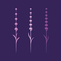 lavanda fiore vettore icona illustrazione