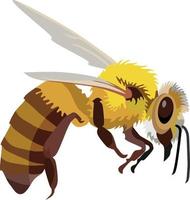 ape insetto animale vettore