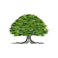 Vintage ▾ quercia logo. concetto di un' grande albero con ombreggiato le foglie per design di sviluppo, alloggi, formazione scolastica e altri. vettore