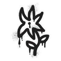 ciliegia fiorire graffiti con nero spray dipingere vettore