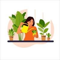 donna che innaffia le piante d'appartamento a casa illustrazione vettoriale. resta a casa, stile di vita, giardino di casa e concetto di piante d'appartamento. illustrazione vettoriale piatto.