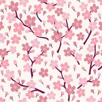 sakura ciliegia fiorire senza soluzione di continuità modello vettore