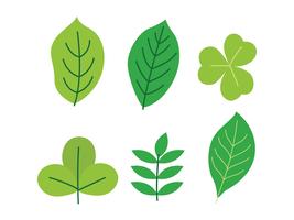 Clipart di foglia verde vettore