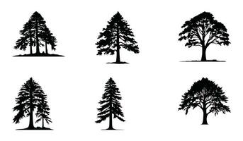 nature sentinelle sequoia boschetto impostato vettore