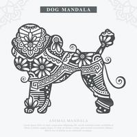 vettore di mandala di cane. elementi decorativi d'epoca. modello orientale, illustrazione vettoriale.