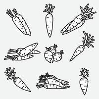 Doodle disegno a mano libera della raccolta di verdure di carota. vettore