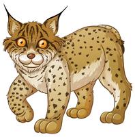 Lince vettore