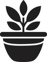 botanico bellezza pianta logo design sempreverde eleganza emblematico pianta icona vettore