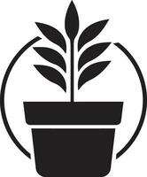 botanico brillantezza pianta logo design verdeggiante visioni emblematico pianta icona vettore