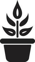 botanico equilibrio logo vettore icona giardino crescita pianta emblema design