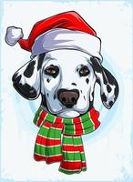 divertente testa di cane dalmata di natale con cappello e sciarpa di babbo natale, cane dalmata di natale vettore