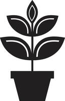 biologico oasi pianta emblema design frondoso eredità iconico pianta vettore