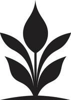 flora fiorire logo vettore icona biologico oasi pianta emblema design