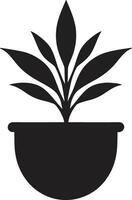 botanico brillantezza pianta logo vettore icona verdeggiante visioni pianta emblema design