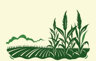 Mais piantagione. vettore illustrazione di dolce Mais germinazione nel campo