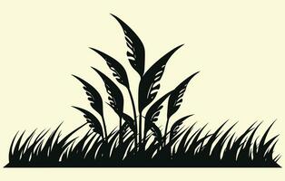 Mais piantagione. vettore illustrazione di dolce Mais germinazione nel campo