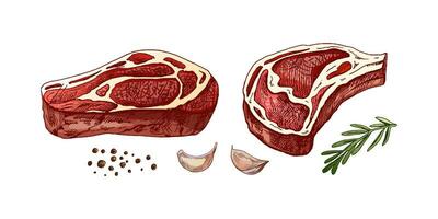 biologico cibo. mano disegnato colorato vettore schizzo di Manzo bistecca, pezzo di carne con rosmarino, aglio e grani di pepe. Vintage ▾ illustrazione. decorazioni per il menù. inciso Immagine.