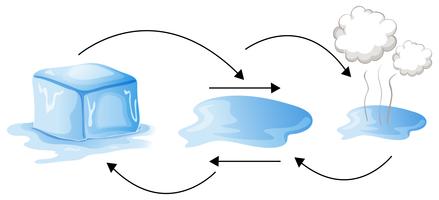 Diagramma che mostra come l&#39;acqua cambia forma vettore