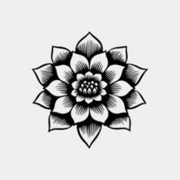 vettore nero loto icone impostato su bianca sfondo. loto pianta. loto fiore