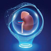 3d illustrazione di un' umano rene nel un' cristallo palla si sente magico nel dando speranza per pazienti in attesa per un' rene trapianto. vettore